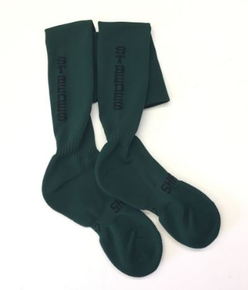Picture of St Bedes PE Socks