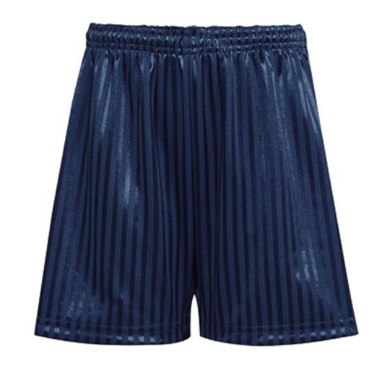 Picture of Luddington & garthorpe Navy PE Shorts