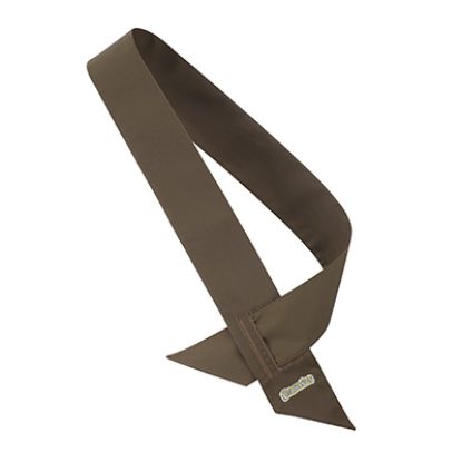 Picture of Brownies Sash