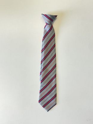 Picture of Frederick Gough Tie