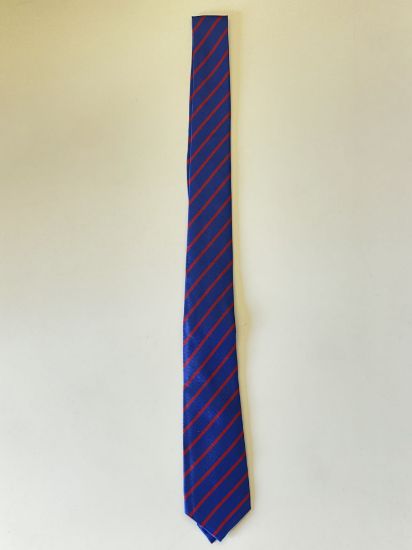 Picture of St Augustine Webster Tie