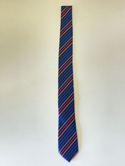 Picture of St Bernadettes Tie