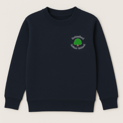 Picture of Bottesford Infants Sweatshirt