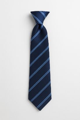 Picture of Burton upon Stather Clip On Tie