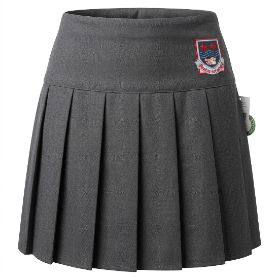 Picture of Frederick Gough Grey Skirt