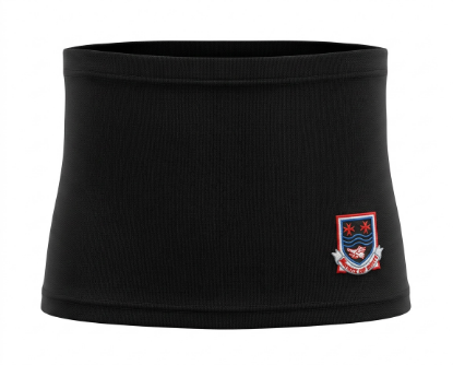Picture of Frederick Gough P.E Skort