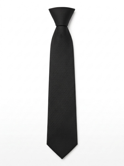 Picture of Frederick Gough Black Tie