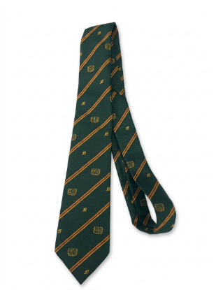 Picture of St Bedes Tie
